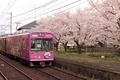 20190302110822