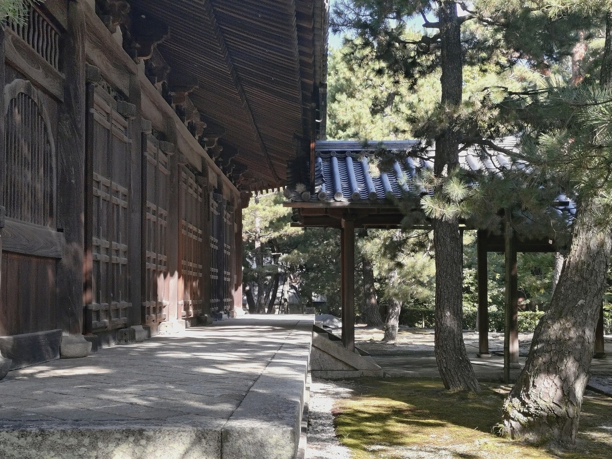 20250131082605