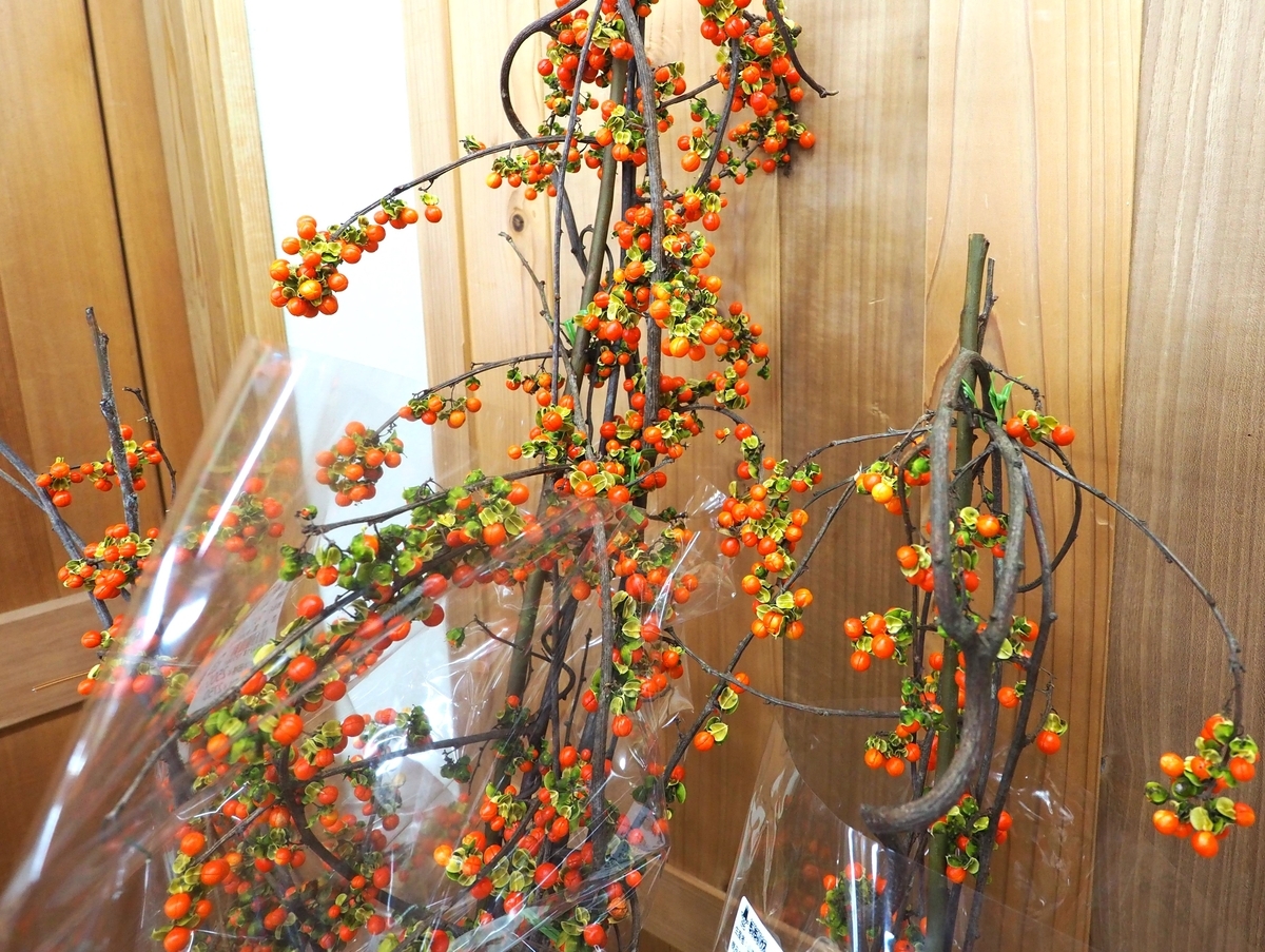 ツルウメモドキ ツルウメモドキ | ハチ北観光協会｜兵庫県香美町