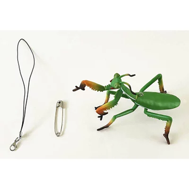 今度は、カマキリ！！ - もりもりハウス通信