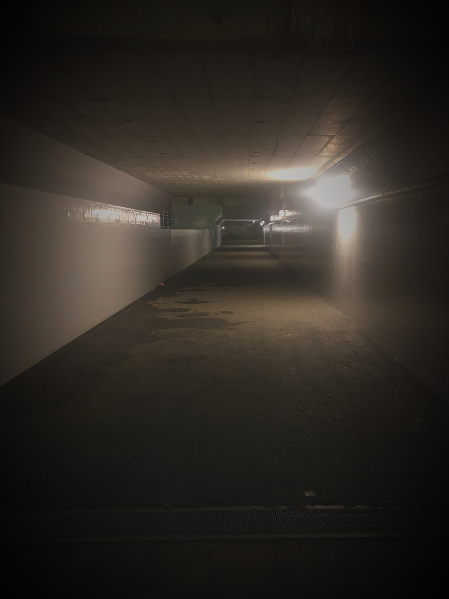 f:id:morimorimory:20191224143336j:plain f:id:morimorimory:20191224143336j:plain