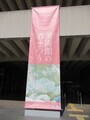 東京国立近代美術館