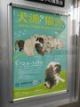 山種美術館