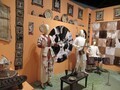 国立民族学博物館