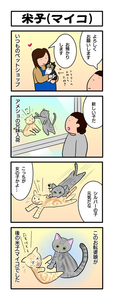 第2話 チワマイ日記
