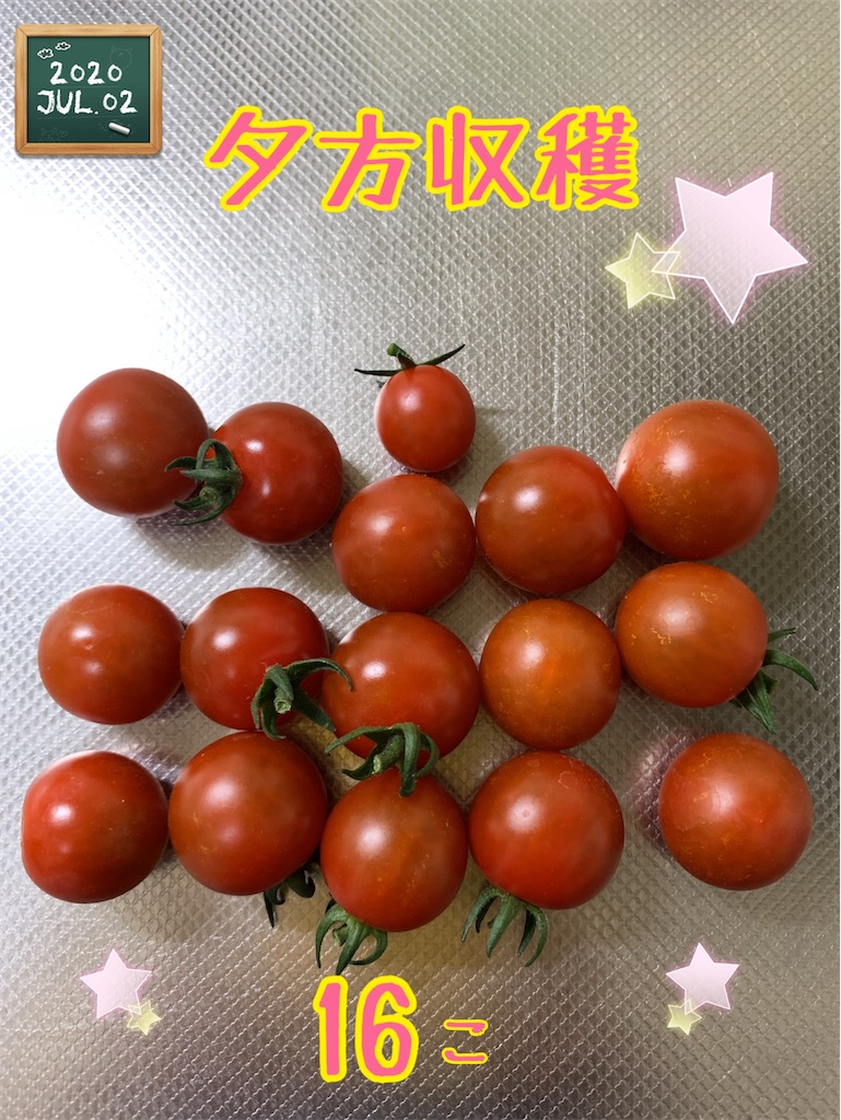 f:id:morinobanana:20200821204910j:image f:id:morinobanana:20200821204910j:image