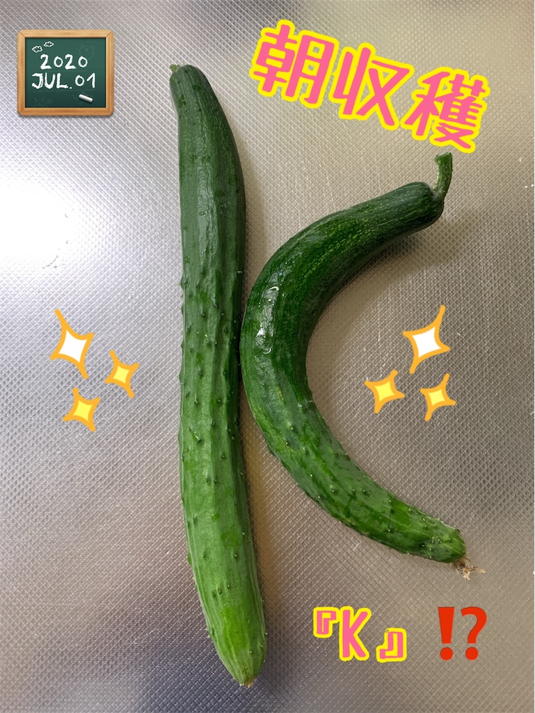 f:id:morinobanana:20200821204921j:image f:id:morinobanana:20200821204921j:image