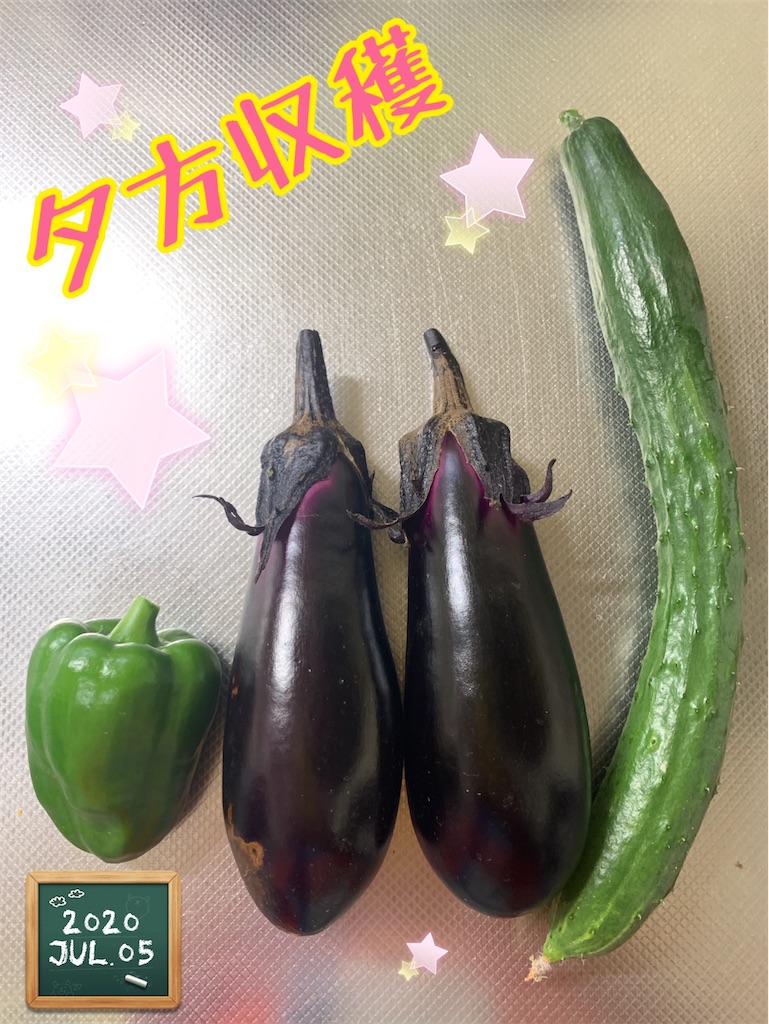f:id:morinobanana:20200821204954j:image f:id:morinobanana:20200821204954j:image