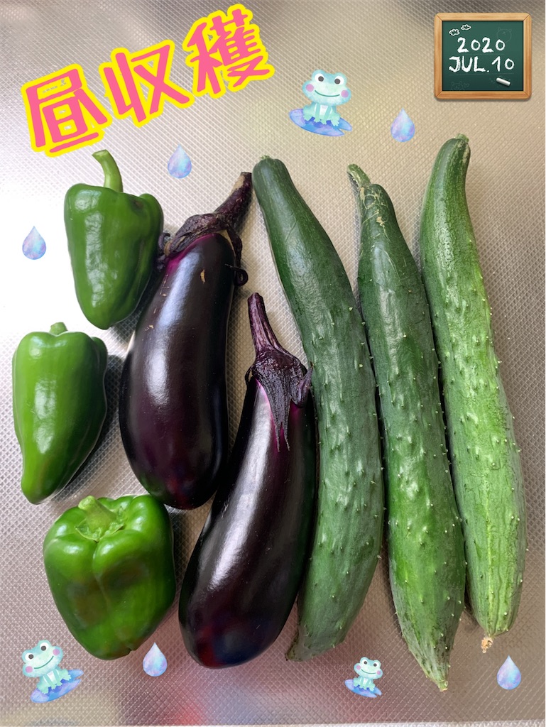f:id:morinobanana:20200821205115j:image f:id:morinobanana:20200821205115j:image