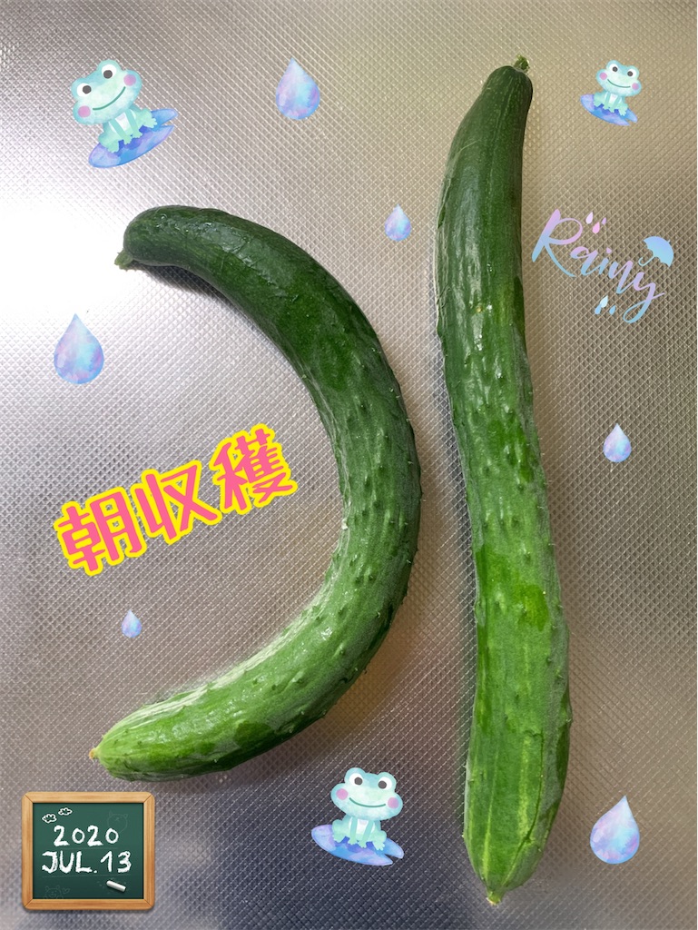 f:id:morinobanana:20200821205154j:image f:id:morinobanana:20200821205154j:image
