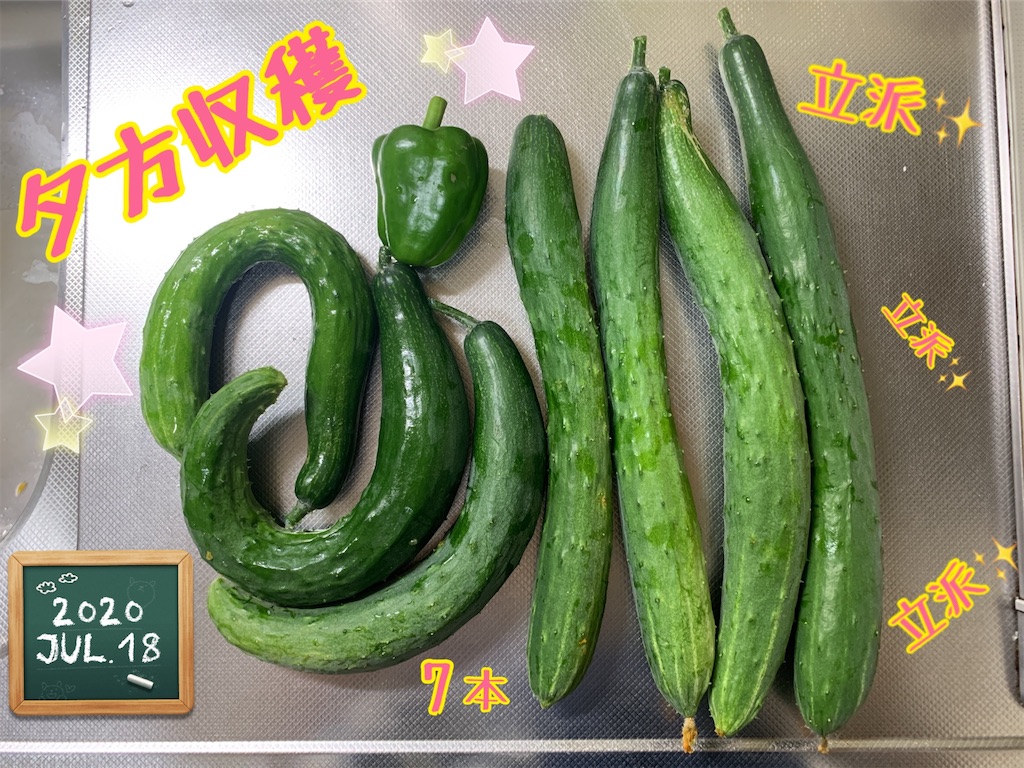 f:id:morinobanana:20200821205634j:image f:id:morinobanana:20200821205634j:image
