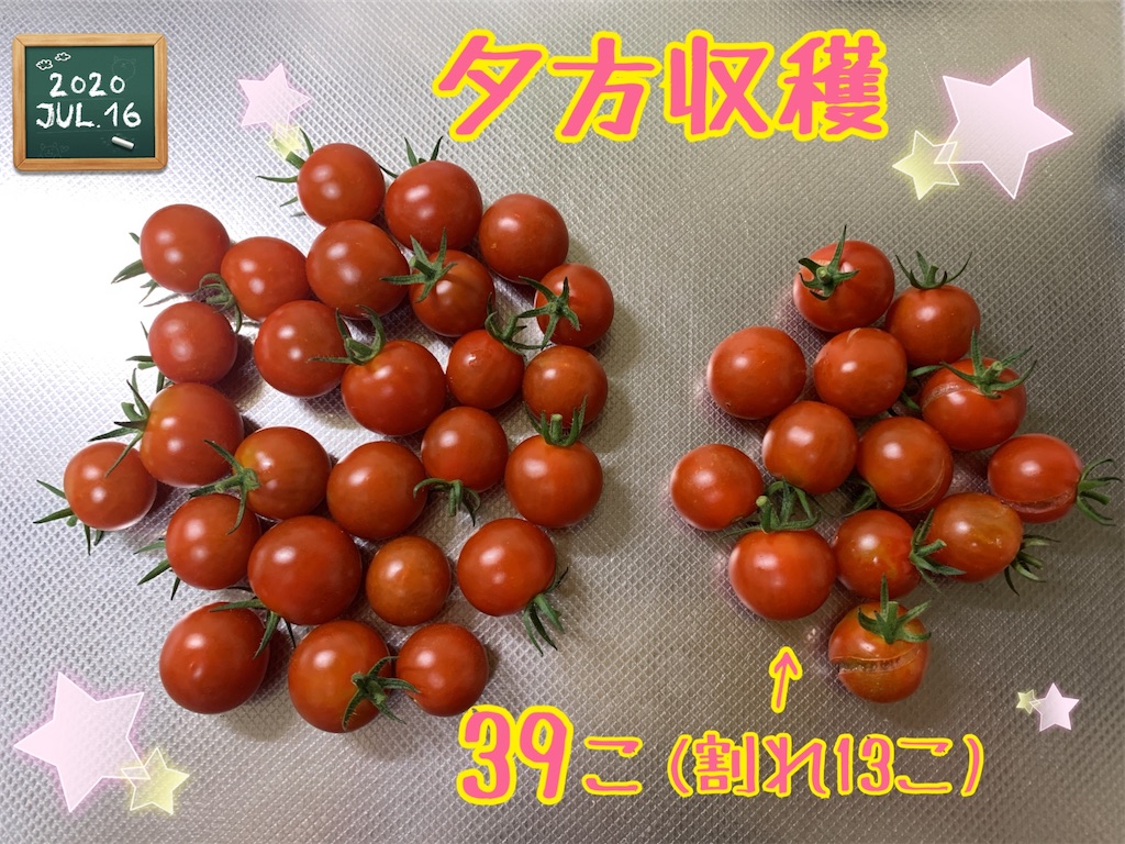 f:id:morinobanana:20200821205642j:image f:id:morinobanana:20200821205642j:image