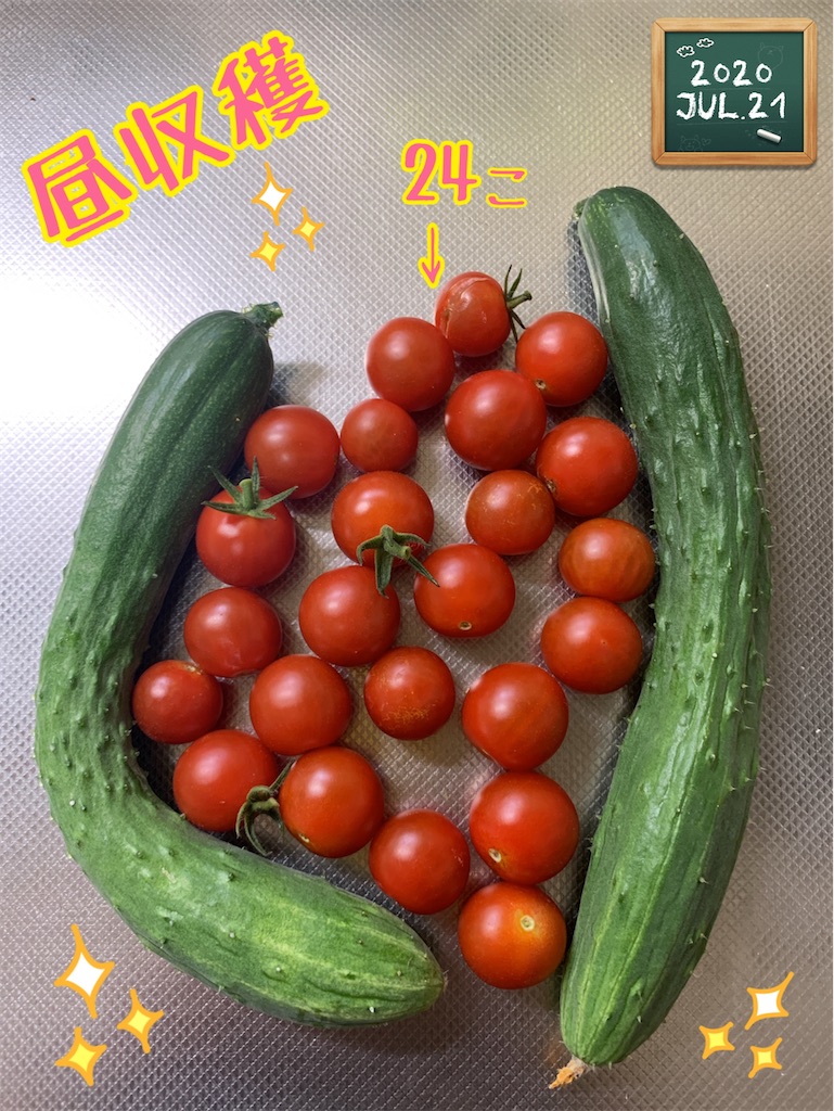 f:id:morinobanana:20200821210639j:image f:id:morinobanana:20200821210639j:image