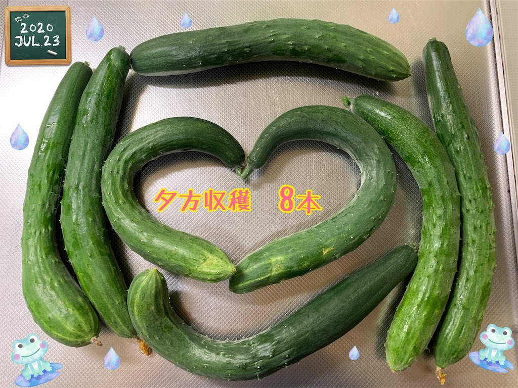 f:id:morinobanana:20200821210643j:image f:id:morinobanana:20200821210643j:image