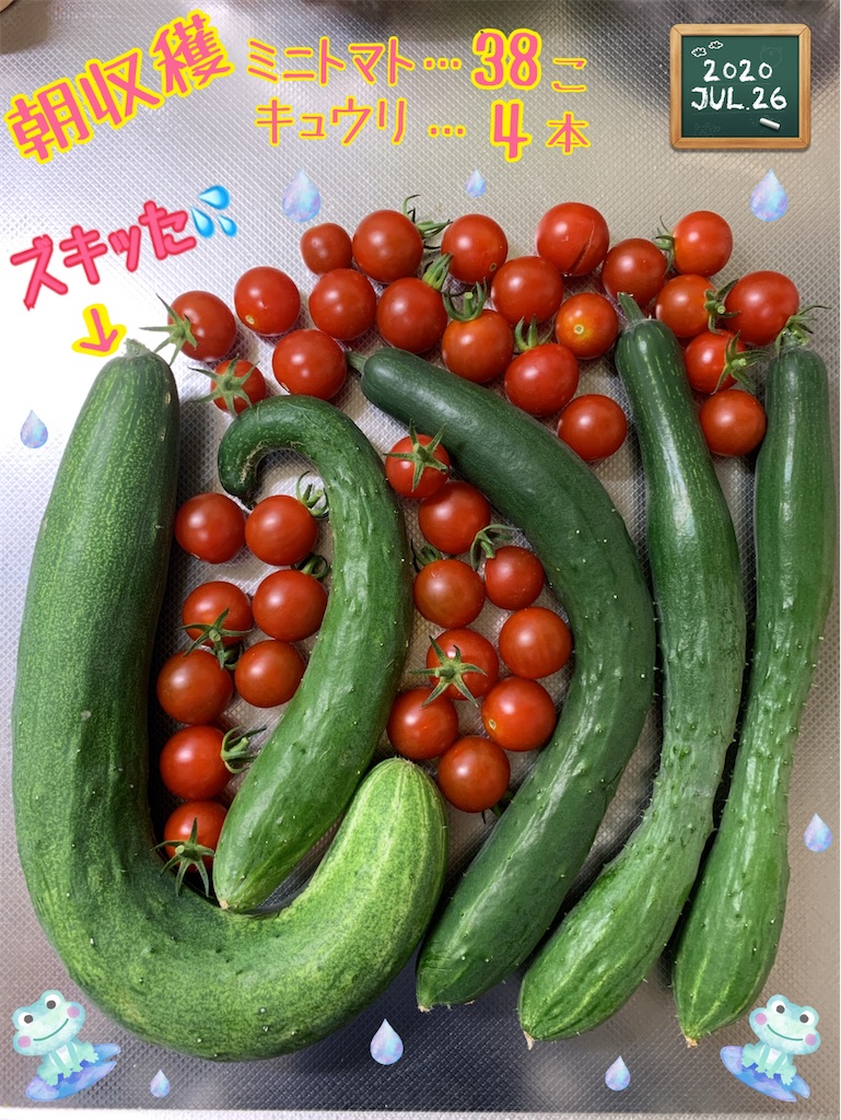 f:id:morinobanana:20200821210712j:image f:id:morinobanana:20200821210712j:image