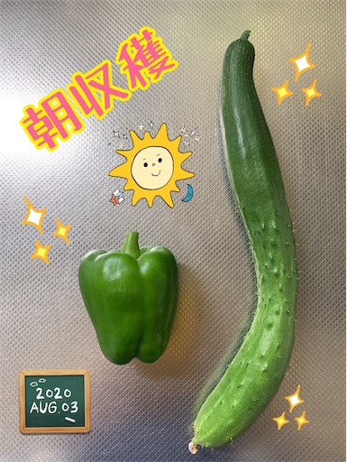 f:id:morinobanana:20200901235210j:image f:id:morinobanana:20200901235210j:image