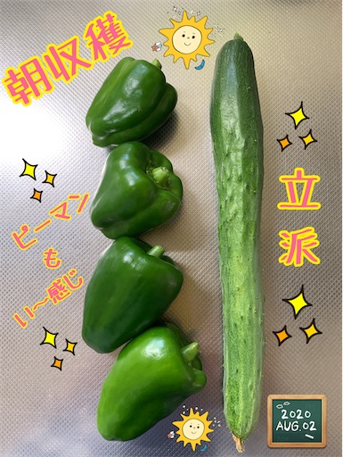 f:id:morinobanana:20200901235213j:image f:id:morinobanana:20200901235213j:image