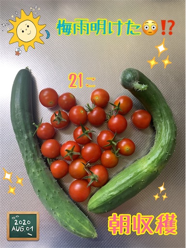 f:id:morinobanana:20200901235217j:image f:id:morinobanana:20200901235217j:image