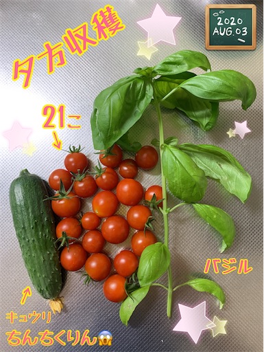 f:id:morinobanana:20200901235322j:image f:id:morinobanana:20200901235322j:image