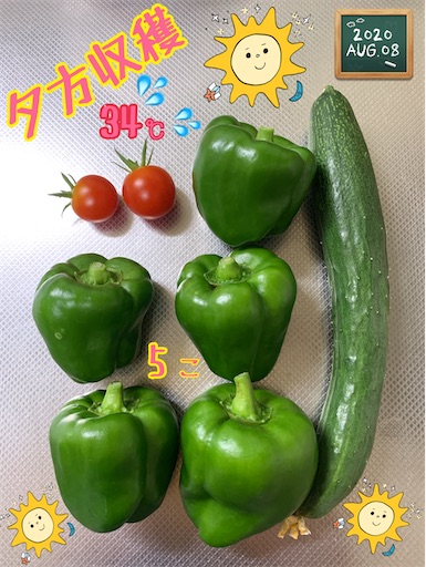 f:id:morinobanana:20200901235354j:image f:id:morinobanana:20200901235354j:image