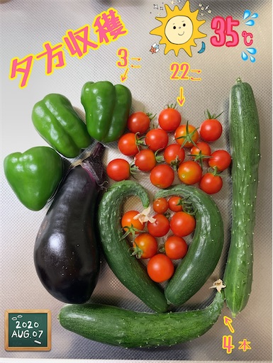 f:id:morinobanana:20200901235402j:image f:id:morinobanana:20200901235402j:image