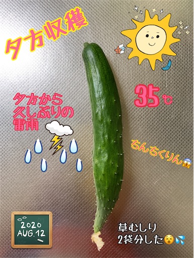 f:id:morinobanana:20200901235853j:image f:id:morinobanana:20200901235853j:image