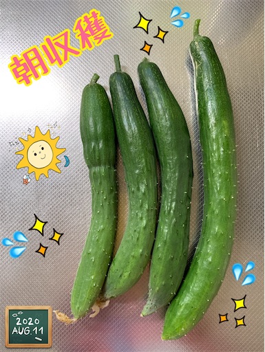 f:id:morinobanana:20200901235856j:image f:id:morinobanana:20200901235856j:image