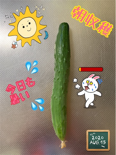 f:id:morinobanana:20200902161848j:image f:id:morinobanana:20200902161848j:image
