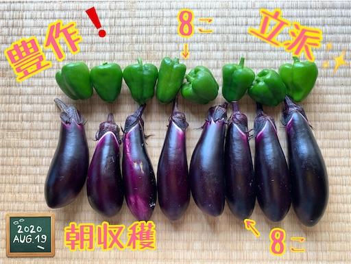 f:id:morinobanana:20200902161851j:image f:id:morinobanana:20200902161851j:image