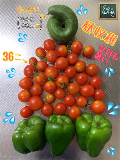 f:id:morinobanana:20200902161853j:image f:id:morinobanana:20200902161853j:image