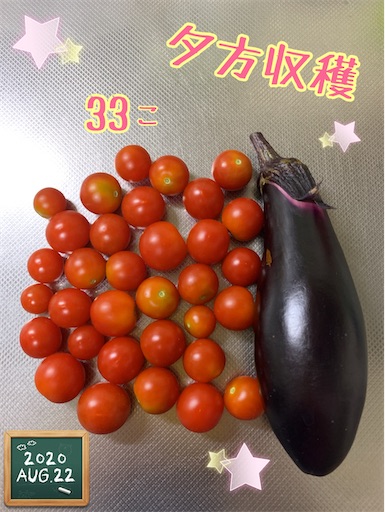 f:id:morinobanana:20200902161940j:image f:id:morinobanana:20200902161940j:image
