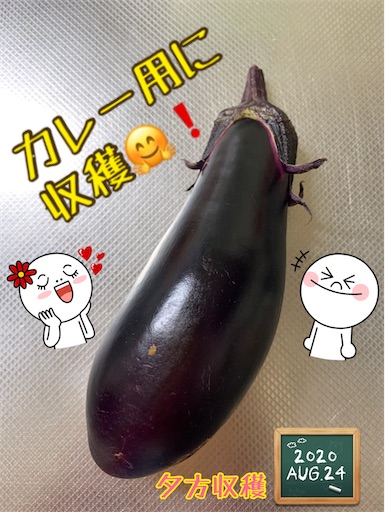 f:id:morinobanana:20200902161943j:image f:id:morinobanana:20200902161943j:image