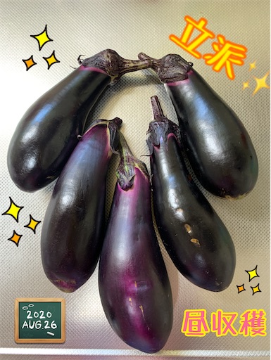 f:id:morinobanana:20200902161947j:image f:id:morinobanana:20200902161947j:image