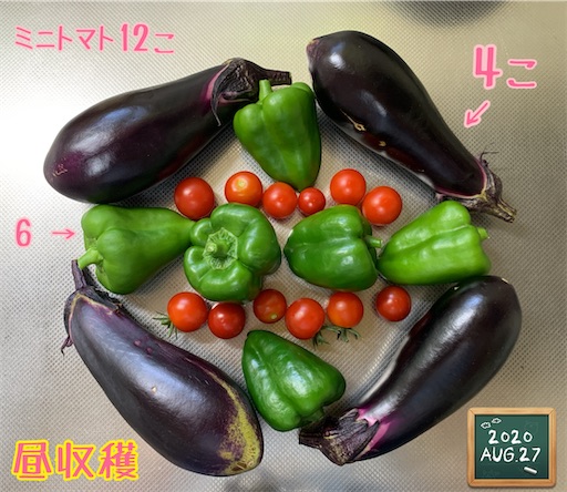 f:id:morinobanana:20200902162029j:image f:id:morinobanana:20200902162029j:image