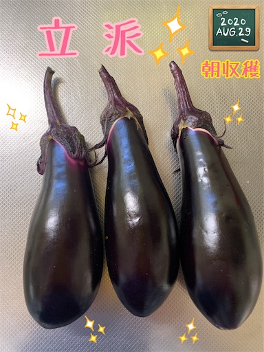 f:id:morinobanana:20200902162031j:image f:id:morinobanana:20200902162031j:image