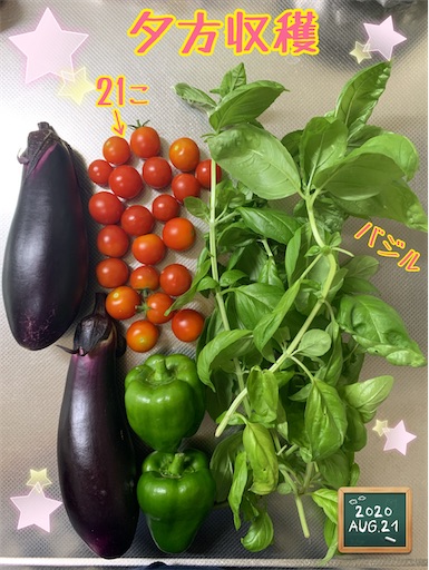 f:id:morinobanana:20200907231921j:image f:id:morinobanana:20200907231921j:image