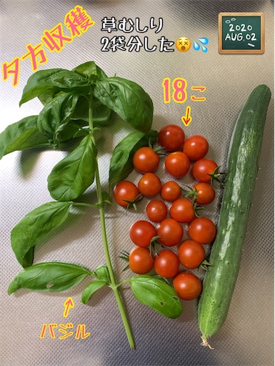 f:id:morinobanana:20200907231930j:image f:id:morinobanana:20200907231930j:image