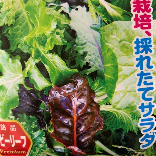 f:id:morinobanana:20201201230035j:image