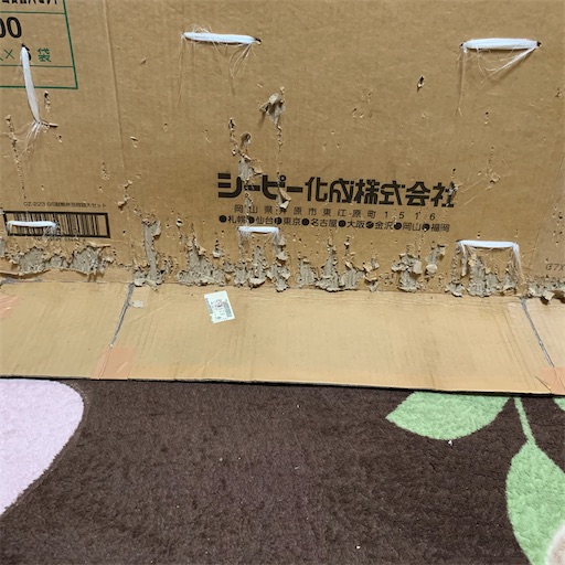 f:id:morinobanana:20201215231202j:image f:id:morinobanana:20201215231202j:image