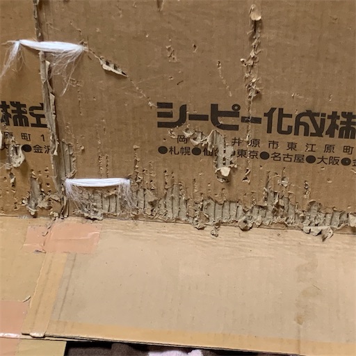 f:id:morinobanana:20201215231205j:image f:id:morinobanana:20201215231205j:image