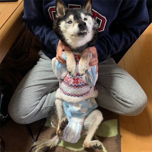 f:id:morinobanana:20210126213301j:image f:id:morinobanana:20210126213301j:image