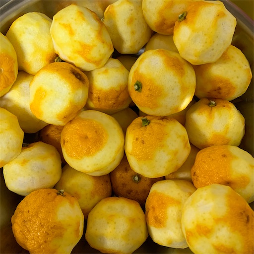 f:id:morinobanana:20210215181405j:image f:id:morinobanana:20210215181405j:image