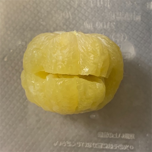 f:id:morinobanana:20210218172200j:image f:id:morinobanana:20210218172200j:image