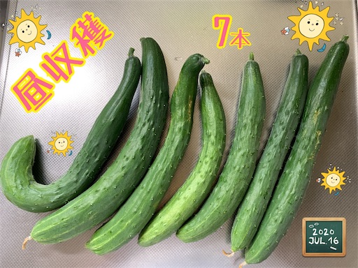 f:id:morinobanana:20210224004948j:image f:id:morinobanana:20210224004948j:image
