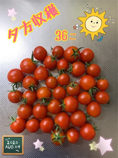 f:id:morinobanana:20210224004951j:image f:id:morinobanana:20210224004951j:image