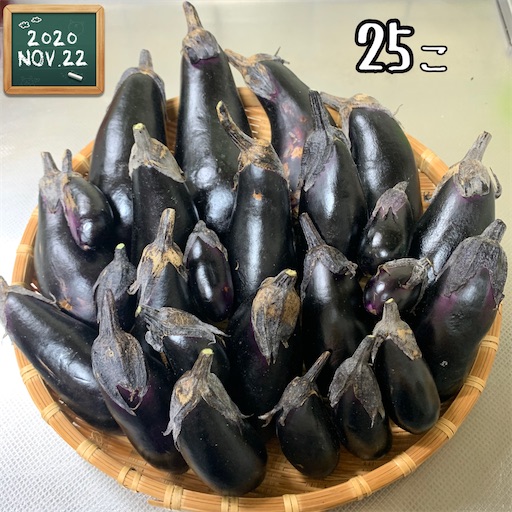 f:id:morinobanana:20210224005113j:image f:id:morinobanana:20210224005113j:image