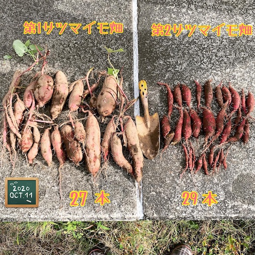 f:id:morinobanana:20210224005441j:image f:id:morinobanana:20210224005441j:image