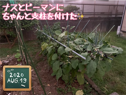 f:id:morinobanana:20210224010505j:image f:id:morinobanana:20210224010505j:image