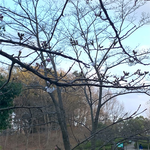 f:id:morinobanana:20210318180046j:image f:id:morinobanana:20210318180046j:image