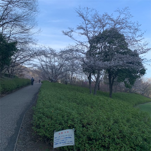 f:id:morinobanana:20210324204418j:image f:id:morinobanana:20210324204418j:image